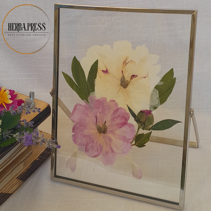 @herba.press | tablou minimalist cu flori presate, bujori